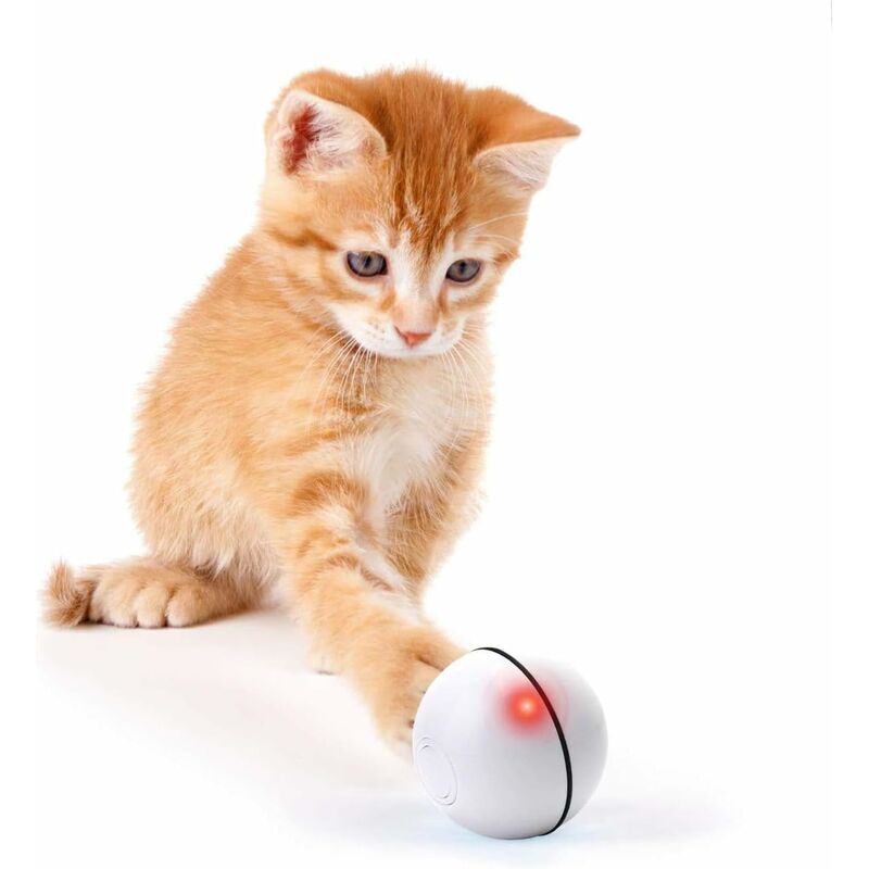 Jouet interactif pour chat balle animée intelligente, balle rotative automatique, balle rotative à 360 degrés, balle jouet pour chat rechargeable
Jouet interactif pour chat balle animée intelligente, balle rotative automatique, balle rotative à 360 degrés, balle jouet pour chat rechargeable