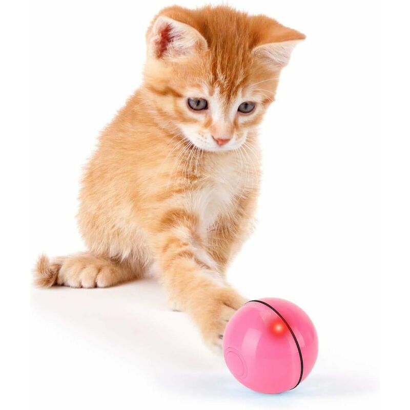 Jouet interactif pour chat balle animée intelligente, balle roulante automatique, balle rotative à 360 degrés, balle jouet rechargeable pour chat
Jouet interactif pour chat balle animée intelligente, balle roulante automatique, balle rotative à 360 degrés, balle jouet rechargeable pour chat
