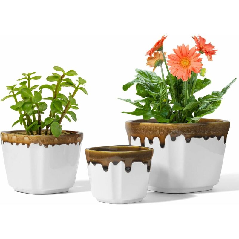 Juego de 3 macetas blancas de 3 tamaños, macetas de cerámica para plantas suculentas, pequeñas macetas modernas de flores de cactus (planta no
Juego de 3 macetas blancas de 3 tamaños, macetas de cerámica para plantas suculentas, pequeñas macetas modernas de flores de cactus (planta no