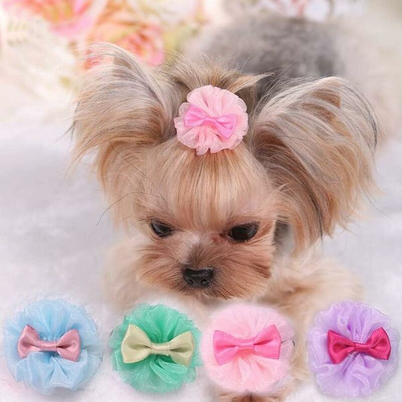 Abcrital - Juego de 5 nudos para perros pequeños, accesorios para el cuidado de cachorros, accesorios para mascotas, pinzas para el cabello, para el
Abcrital - Juego de 5 nudos para perros pequeños, accesorios para el cuidado de cachorros, accesorios para mascotas, pinzas para el cabello, para el