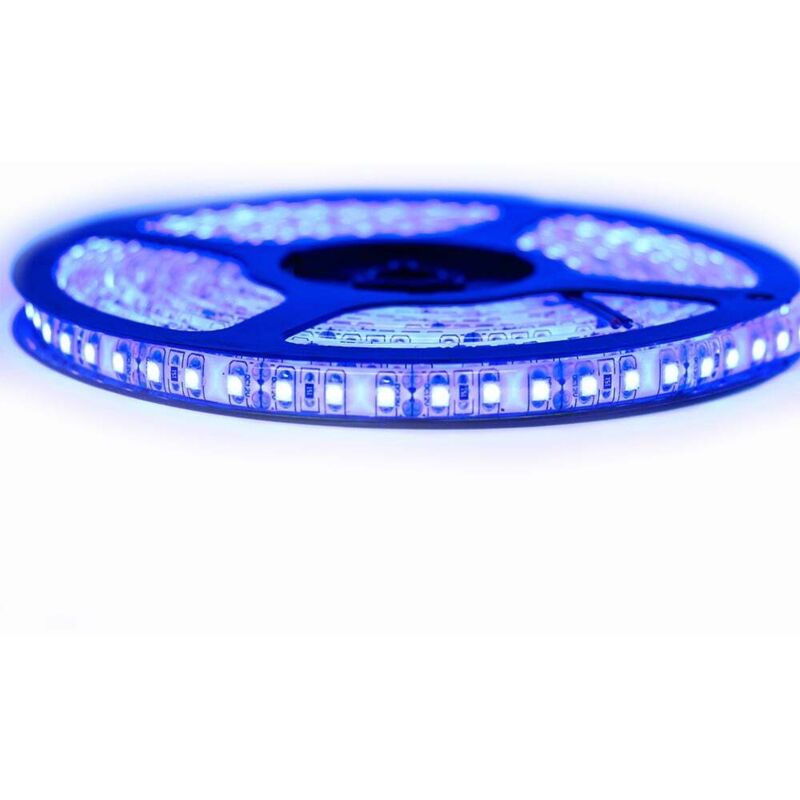 Kit de cinta profesional 3528 - 120 leds/m - 5 metros azul anti-salpicaduras (IP65) | Longitud: 5 metros - Transformador: Fuente de alimentación
Kit de cinta profesional 3528 - 120 leds/m - 5 metros azul anti-salpicaduras (IP65) | Longitud: 5 metros - Transformador: Fuente de alimentación