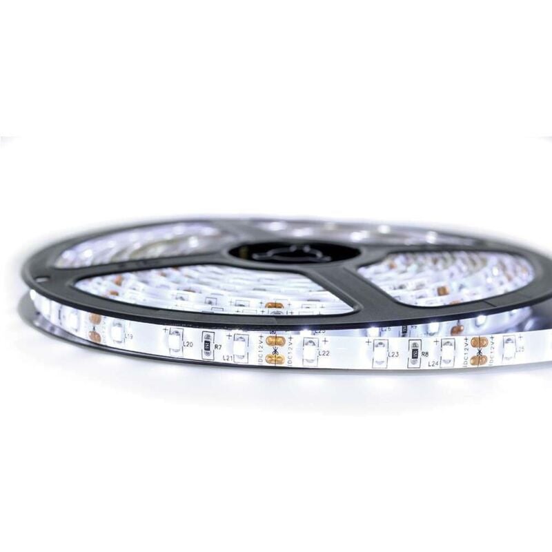 Kit de cinta profesional 3528 - 60 leds/m - 1m, 2.5m, 5 o 10 metros a elegir - Blanco frío a prueba de salpicaduras (IP65) | Transformador: No se
Kit de cinta profesional 3528 - 60 leds/m - 1m, 2.5m, 5 o 10 metros a elegir - Blanco frío a prueba de salpicaduras (IP65) | Transformador: No se