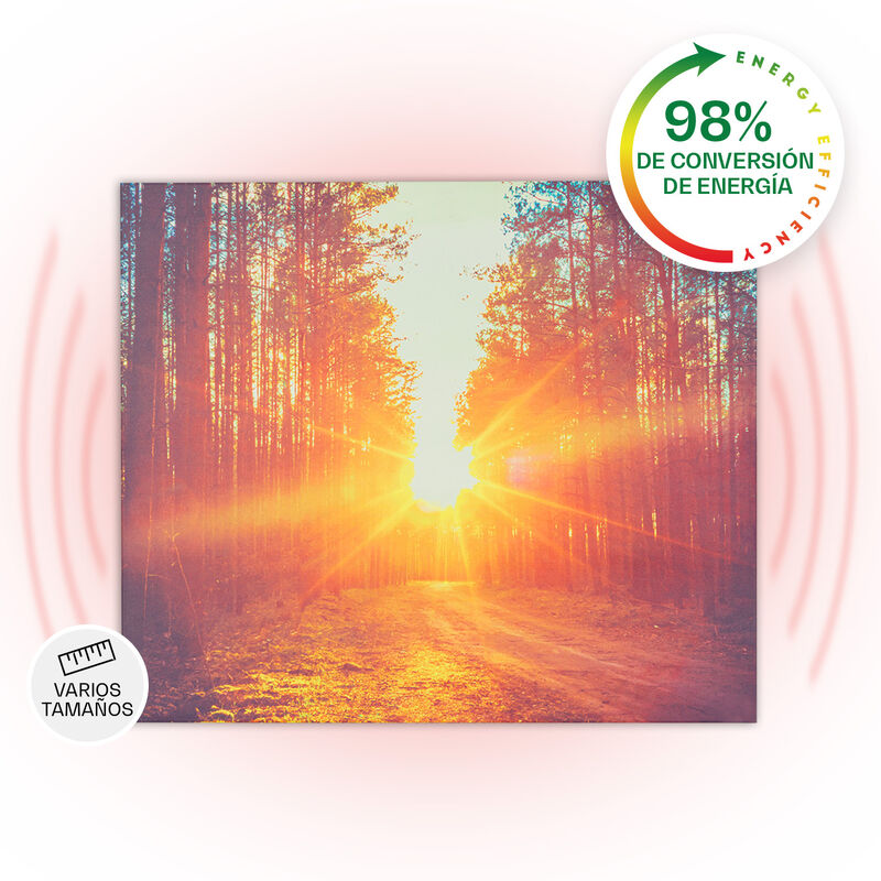 Wonderwall Air Art Infinite Panel calefactor infrarrojo Cuadro 60x50cm 300W Mando a distancia
Wonderwall Air Art Infinite Panel calefactor infrarrojo Cuadro 60x50cm 300W Mando a distancia