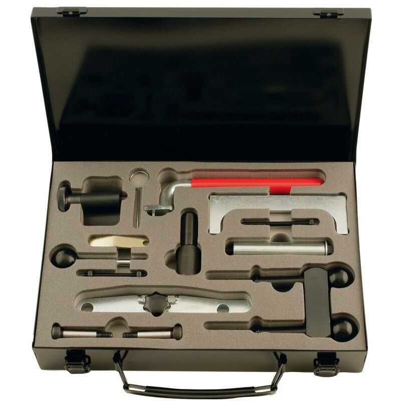 Kstools - KS TOOLS Juego de herramientas de reglaje de motores para VAG, 12 pzs Audi, Seat, VW
Kstools - KS TOOLS Juego de herramientas de reglaje de motores para VAG, 12 pzs Audi, Seat, VW