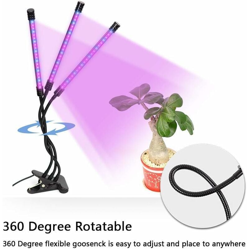 Lámpara de crecimiento de plantas cuello de cisne flexible, rotación de 360 grados, lámpara LED, lámpara de relleno de tres cabezas USB - Litzee
Lámpara de crecimiento de plantas cuello de cisne flexible, rotación de 360 grados, lámpara LED, lámpara de relleno de tres cabezas USB - Litzee