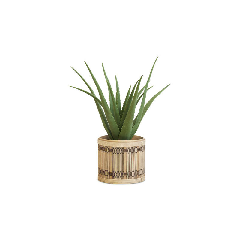 LIFA LIVING Planta de Aloe Artificial, Planta de Aloe Vera Falsa para Decoración, Planta de Aloe Vera de apariencia Real Decorativa para Dormitorio y
LIFA LIVING Planta de Aloe Artificial, Planta de Aloe Vera Falsa para Decoración, Planta de Aloe Vera de apariencia Real Decorativa para Dormitorio y