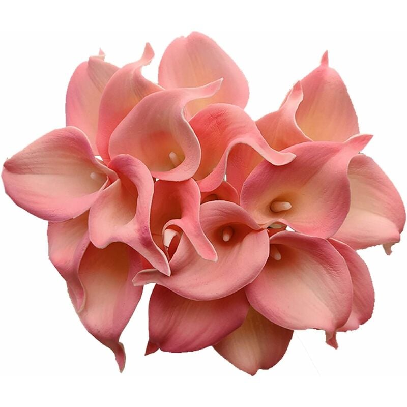 20 piezas Artificial Calla Lily Lataex Real Touch Ramos de flores Flor de seda artificial para la decoración del hogar de la boda de la novia Rosa
20 piezas Artificial Calla Lily Lataex Real Touch Ramos de flores Flor de seda artificial para la decoración del hogar de la boda de la novia Rosa