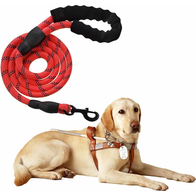Correa de nailon ajustable sólida negra reflectante de 150 cm de alta calidad para perros grandes o medianos Adecuado para trotar y caminar (rojo)
Correa de nailon ajustable sólida negra reflectante de 150 cm de alta calidad para perros grandes o medianos Adecuado para trotar y caminar (rojo)