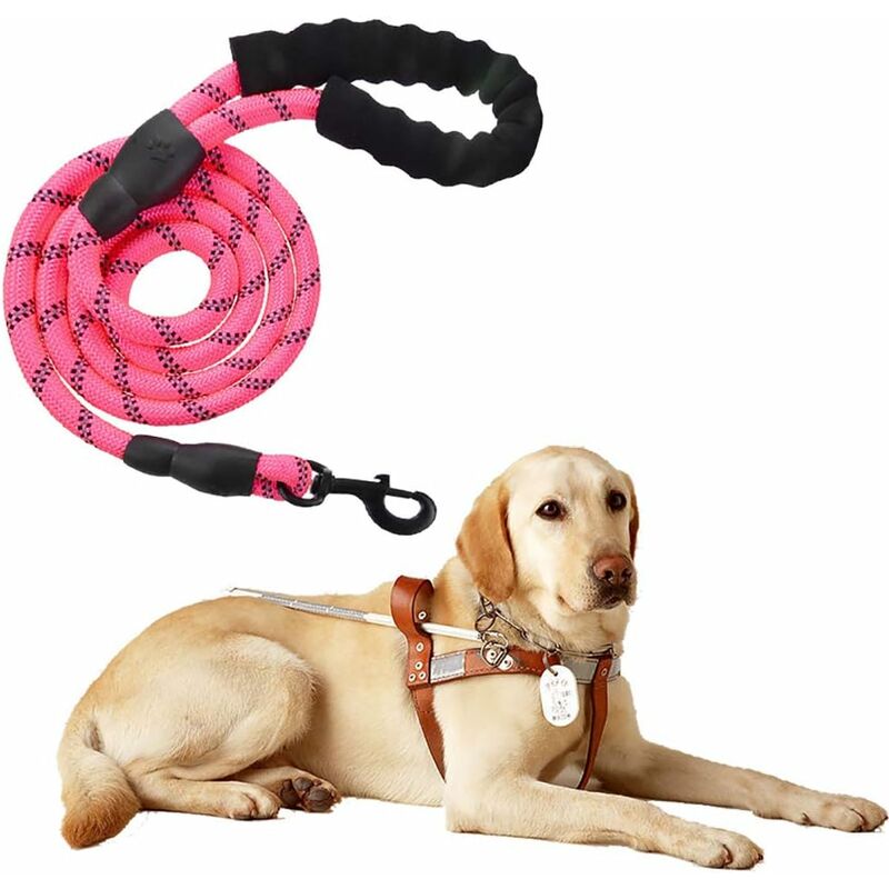 Correa de nailon ajustable sólida negra reflectante de 150 cm de alta calidad para perros grandes o medianos Adecuado para trotar y caminar (rosa)
Correa de nailon ajustable sólida negra reflectante de 150 cm de alta calidad para perros grandes o medianos Adecuado para trotar y caminar (rosa)