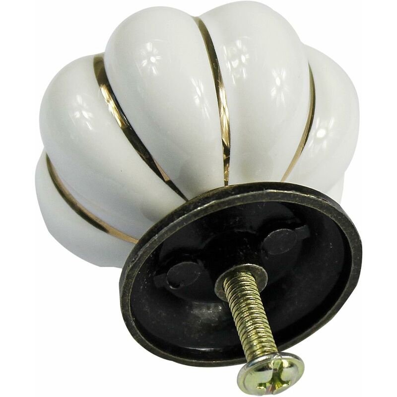 Juego de 10 pomos de cerámica de estilo europeo vintage de calabaza para tocador, armarios y cajones, color blanco
Juego de 10 pomos de cerámica de estilo europeo vintage de calabaza para tocador, armarios y cajones, color blanco