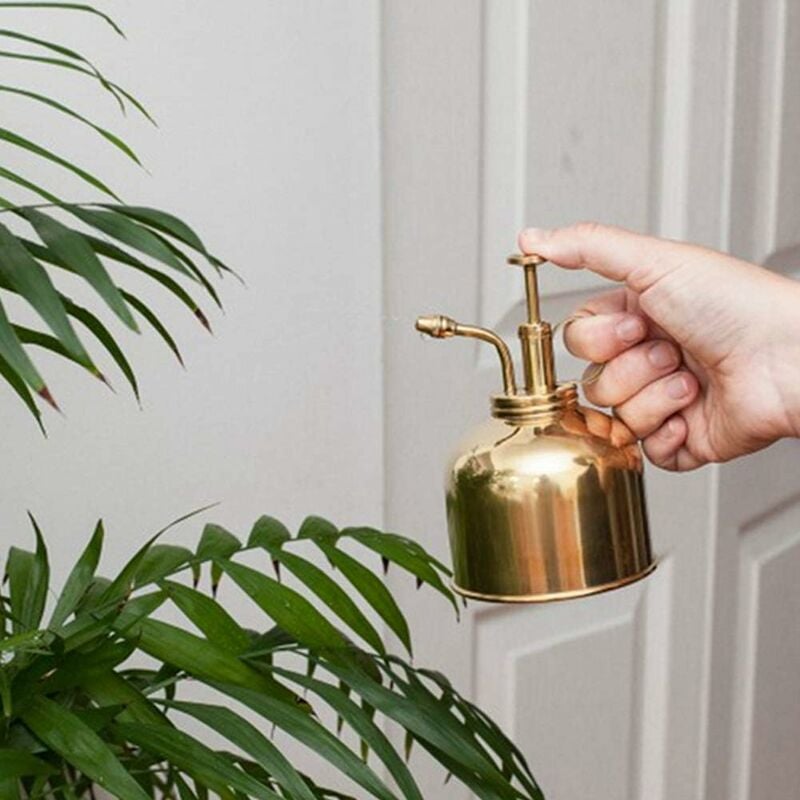 Maceta en aerosol para jardinería, regadera de latón vintage, regadera de mini plantas suculentas con riego por bomba
Maceta en aerosol para jardinería, regadera de latón vintage, regadera de mini plantas suculentas con riego por bomba