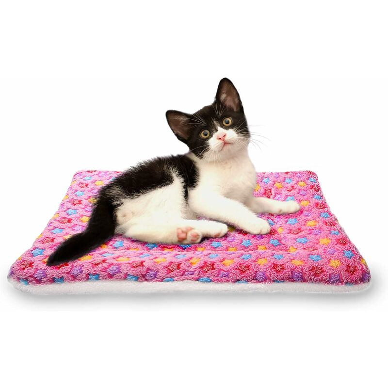 Mantas suaves para dormir para perros y gatos, tamaño 4, 4 colores, rosa más grueso, pequeño
Mantas suaves para dormir para perros y gatos, tamaño 4, 4 colores, rosa más grueso, pequeño