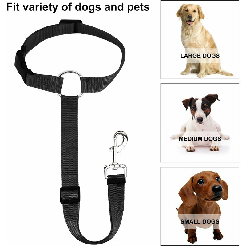 Paquete de 2 cinturones de seguridad para perros, universal, ajustable y duradero, arnés de coche para perros y gatos con mosquetón, cinturón de
Paquete de 2 cinturones de seguridad para perros, universal, ajustable y duradero, arnés de coche para perros y gatos con mosquetón, cinturón de