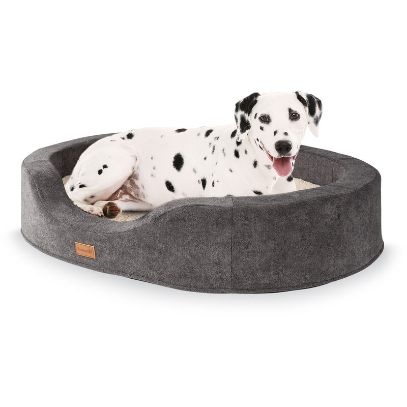 Brunolie - Lotte Cama para perros Cojín para perros | Lavable | Ortopédica | Antideslizante | Espuma viscoelástica transpirable | Tamaño L (100 x 20
Brunolie - Lotte Cama para perros Cojín para perros | Lavable | Ortopédica | Antideslizante | Espuma viscoelástica transpirable | Tamaño L (100 x 20