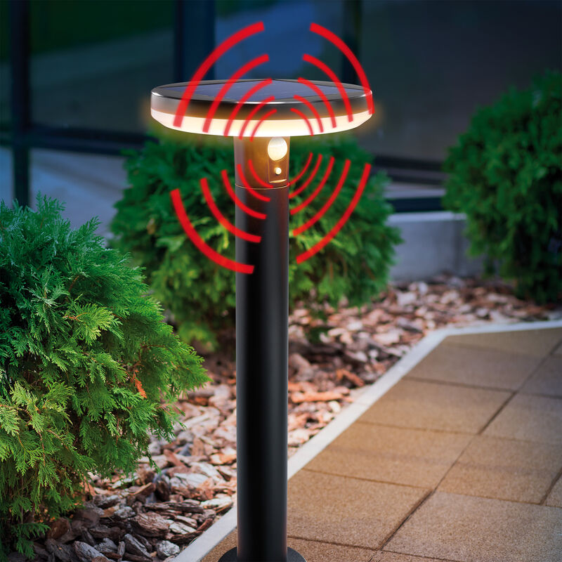 Luminaria solar para caminos con sensor, de 600 lm, para jardín 102742 - Esotec
Luminaria solar para caminos con sensor, de 600 lm, para jardín 102742 - Esotec