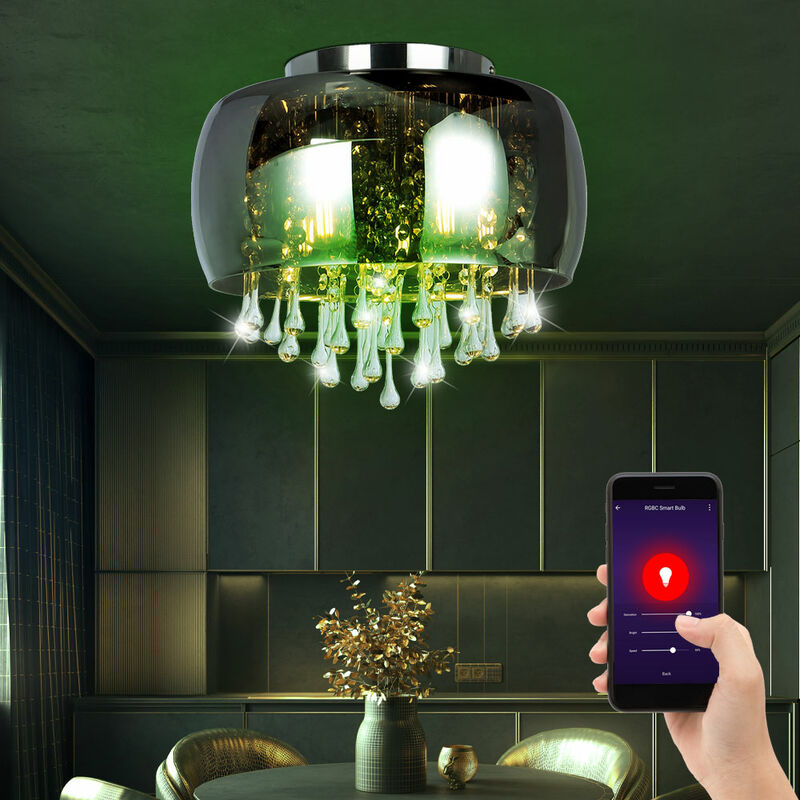 Luz de techo de cristal LED RGB inteligente Lámpara de foco de cristal DIMMABLE Aplicación de voz de color humo controlable a través del teléfono
Luz de techo de cristal LED RGB inteligente Lámpara de foco de cristal DIMMABLE Aplicación de voz de color humo controlable a través del teléfono