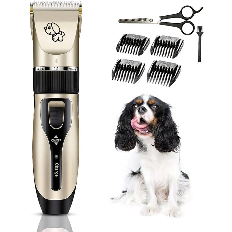 Mascotas Perro Gato Cortadora electrica Kit de aseo para perros Cortadora de perros para perros pequenos Gatos Motor potente recargable por USB de
Mascotas Perro Gato Cortadora electrica Kit de aseo para perros Cortadora de perros para perros pequenos Gatos Motor potente recargable por USB de