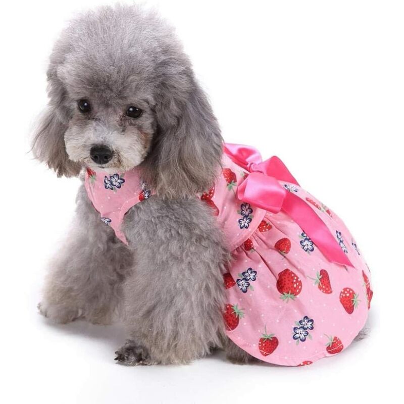 Mascotas perros gatos y perros ropa lindo suave cinta de fresa arco decoración vestido duradero y práctico código L
Mascotas perros gatos y perros ropa lindo suave cinta de fresa arco decoración vestido duradero y práctico código L