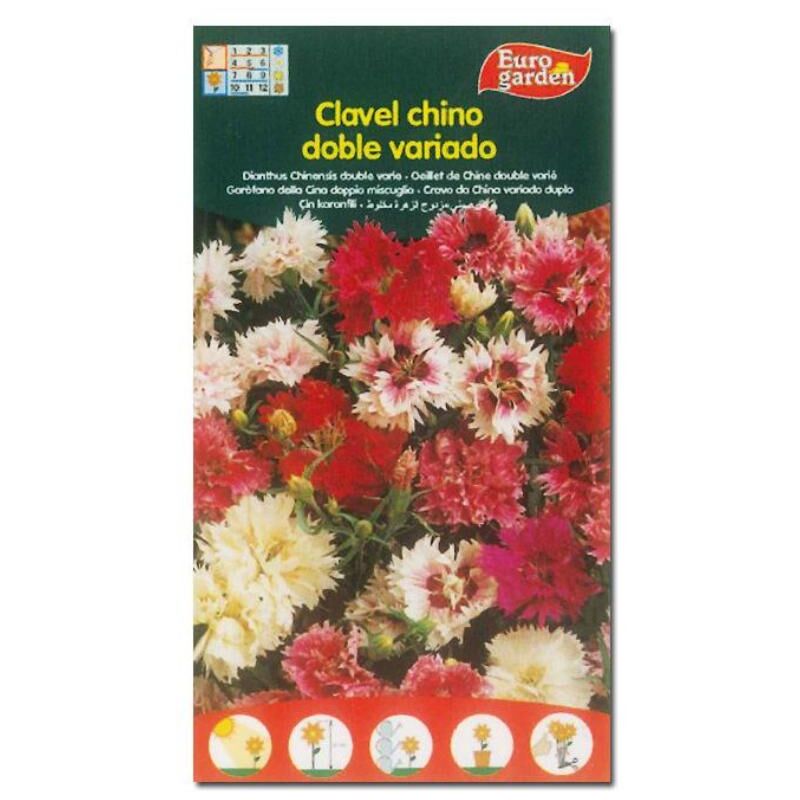 MIBRICOTIENDA semillas fito flores clavel chino doble variado 00542 (caja 10 unidades)
MIBRICOTIENDA semillas fito flores clavel chino doble variado 00542 (caja 10 unidades)