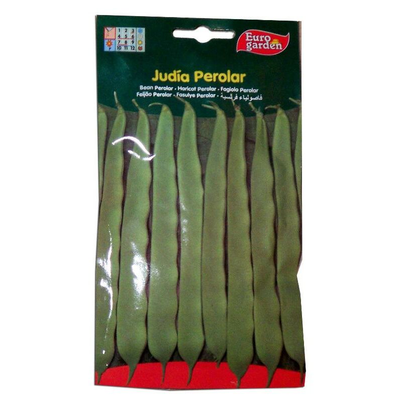 semillas fito horticolas judia perolar 35 grs 03024 (caja 5 unidades) - Mibricotienda
semillas fito horticolas judia perolar 35 grs 03024 (caja 5 unidades) - Mibricotienda