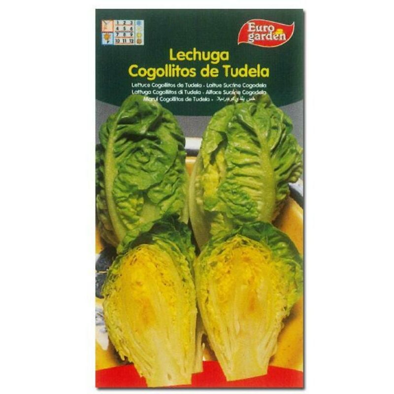 semillas fito horticolas lechuga cogollitos de tudela 02003 (caja 10 unidades) - Mibricotienda
semillas fito horticolas lechuga cogollitos de tudela 02003 (caja 10 unidades) - Mibricotienda