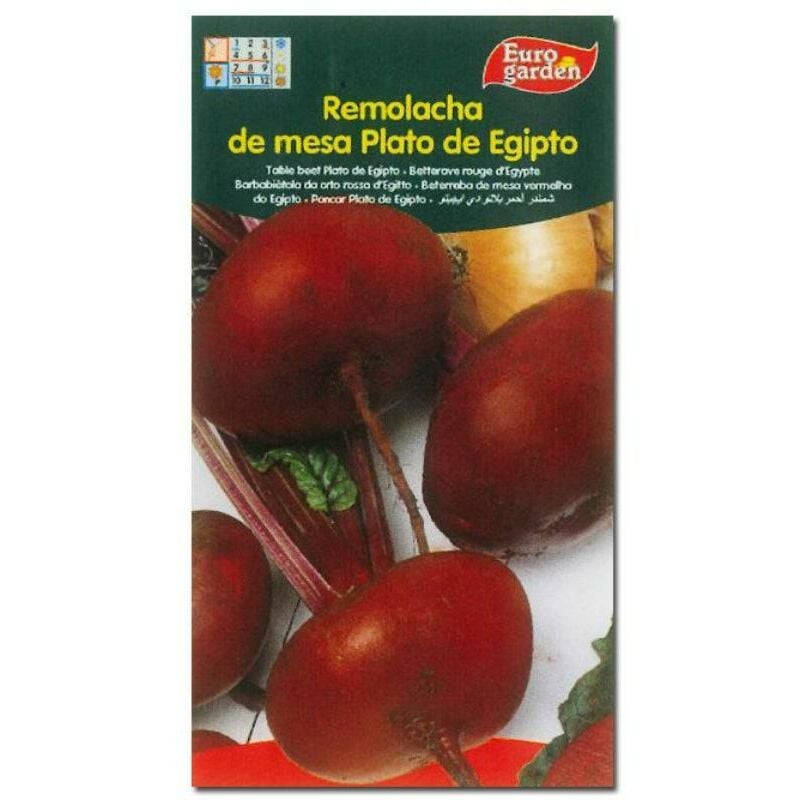 semillas fito horticolas remolacha de mesa plato de egipto 00276 (caja 10 unidades) - Mibricotienda
semillas fito horticolas remolacha de mesa plato de egipto 00276 (caja 10 unidades) - Mibricotienda