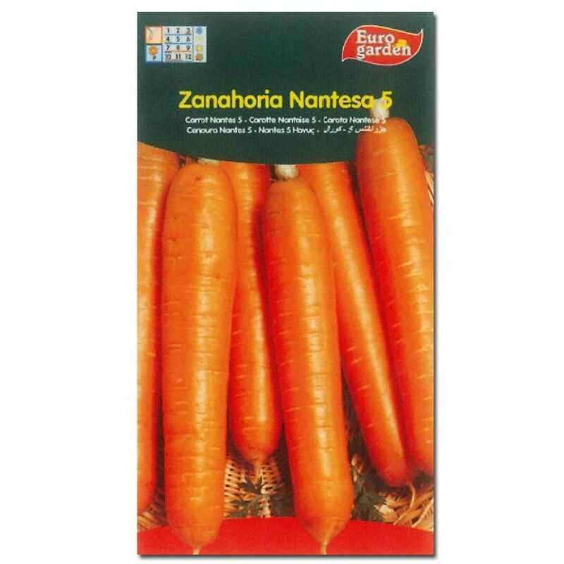 semillas fito horticolas zanahoria nantesa 5 00301 (caja 10 unidades) - Mibricotienda
semillas fito horticolas zanahoria nantesa 5 00301 (caja 10 unidades) - Mibricotienda