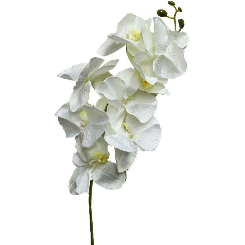 Orquidia Artificial Set de 3, Flores Artificiales de Interior. Ramo de Orquidias Decoración Primaveral 100 cm Color - Blanco
Orquidia Artificial Set de 3, Flores Artificiales de Interior. Ramo de Orquidias Decoración Primaveral 100 cm Color - Blanco