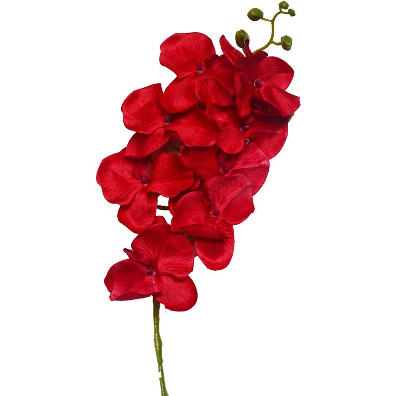 Orquidia Artificial Set de 3, Flores Artificiales de Interior. Ramo de Orquidias Decoración Primaveral 100 cm Color - Rojo
Orquidia Artificial Set de 3, Flores Artificiales de Interior. Ramo de Orquidias Decoración Primaveral 100 cm Color - Rojo