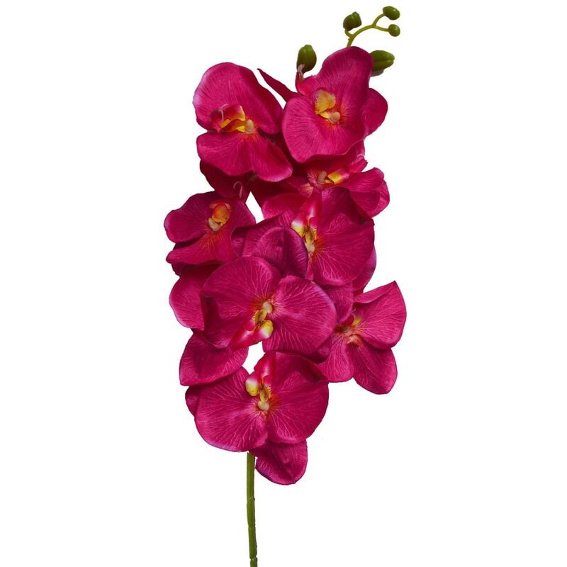 Orquidia Artificial Set de 3, Flores Artificiales de Interior. Ramo de Orquidias Decoración Primaveral 100 cm Color - Rosa
Orquidia Artificial Set de 3, Flores Artificiales de Interior. Ramo de Orquidias Decoración Primaveral 100 cm Color - Rosa
