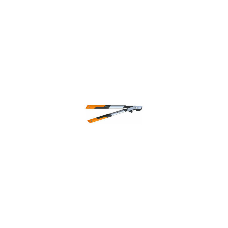 Fiskars Podadera con cuchilla bypass para madera verde, Sistema de cremallera PowerGear X, Talla M, Diámetro de corte: 5 cm, Cuchillas de acero
Fiskars Podadera con cuchilla bypass para madera verde, Sistema de cremallera PowerGear X, Talla M, Diámetro de corte: 5 cm, Cuchillas de acero