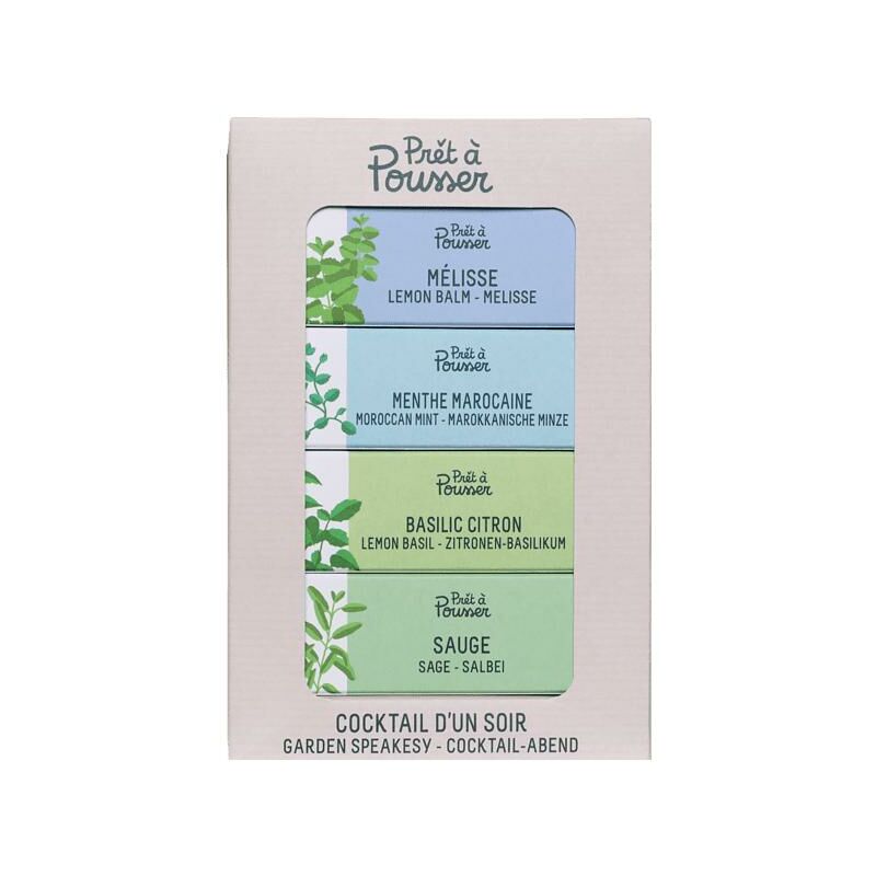 Pack Semillas Jardín (Melisa, Menta Marroquí, Albahaca Limón, Salvia) Prêt à Pousser
Pack Semillas Jardín (Melisa, Menta Marroquí, Albahaca Limón, Salvia) Prêt à Pousser
