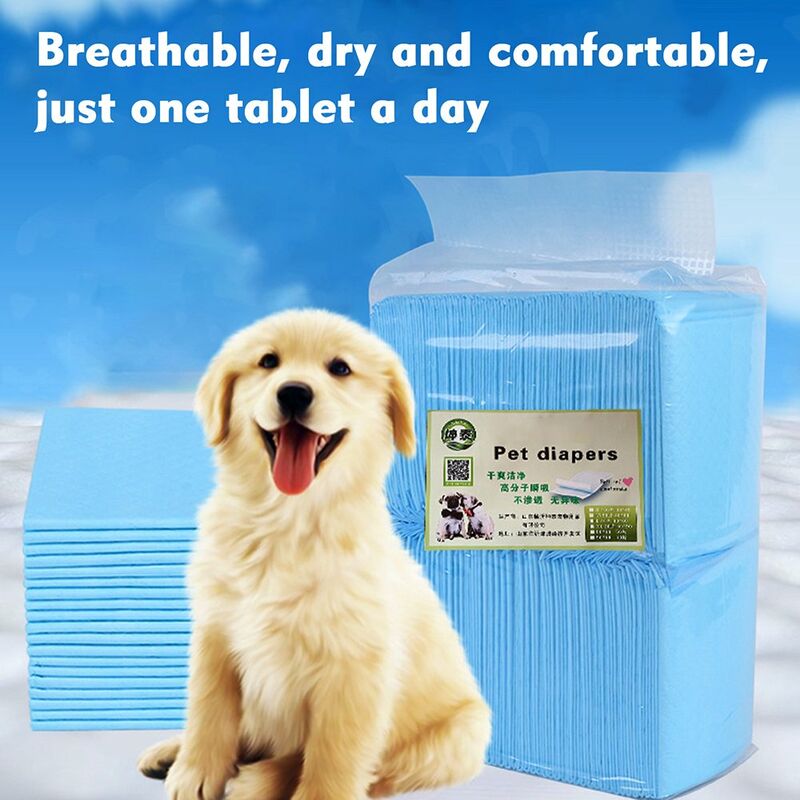 Happyshopping - Panales para mascotas Almohadilla desechable para panales para perros, Envolturas de orina para mascotas,Azul claro, L
Happyshopping - Panales para mascotas Almohadilla desechable para panales para perros, Envolturas de orina para mascotas,Azul claro, L