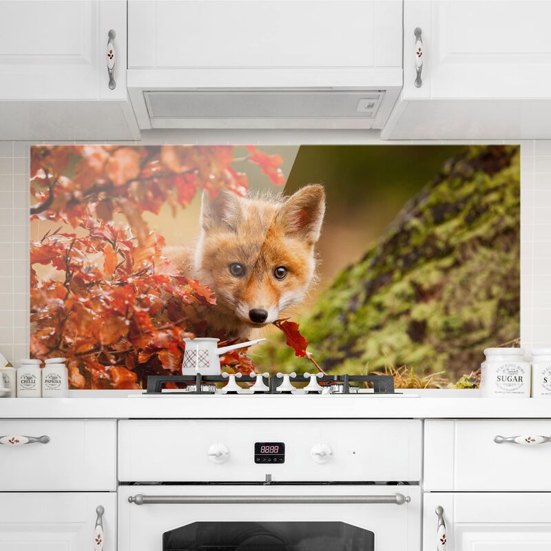 Panel antisalpicaduras de cristal - Fox en el Otoño - Horizontal 1:2 Dimensión LxA: 59cm x 120cm
Panel antisalpicaduras de cristal - Fox en el Otoño - Horizontal 1:2 Dimensión LxA: 59cm x 120cm