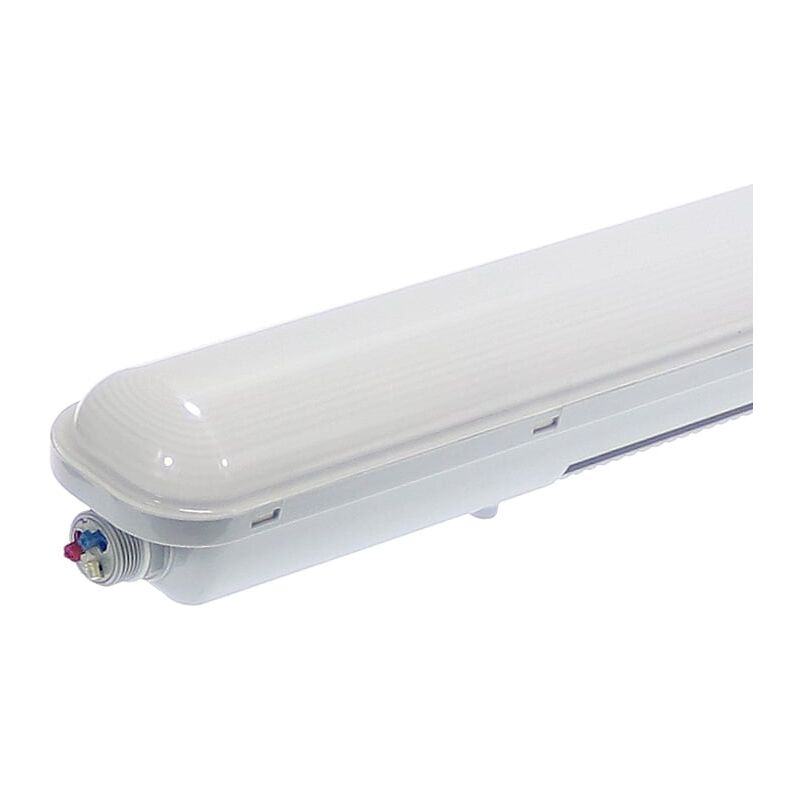 Pantalla Estanca 50W LED Integrado 1500 mm IP65 (Conexión 2 Laterales) Blanco Neutro 4000K | IluminaShop
Pantalla Estanca 50W LED Integrado 1500 mm IP65 (Conexión 2 Laterales) Blanco Neutro 4000K | IluminaShop