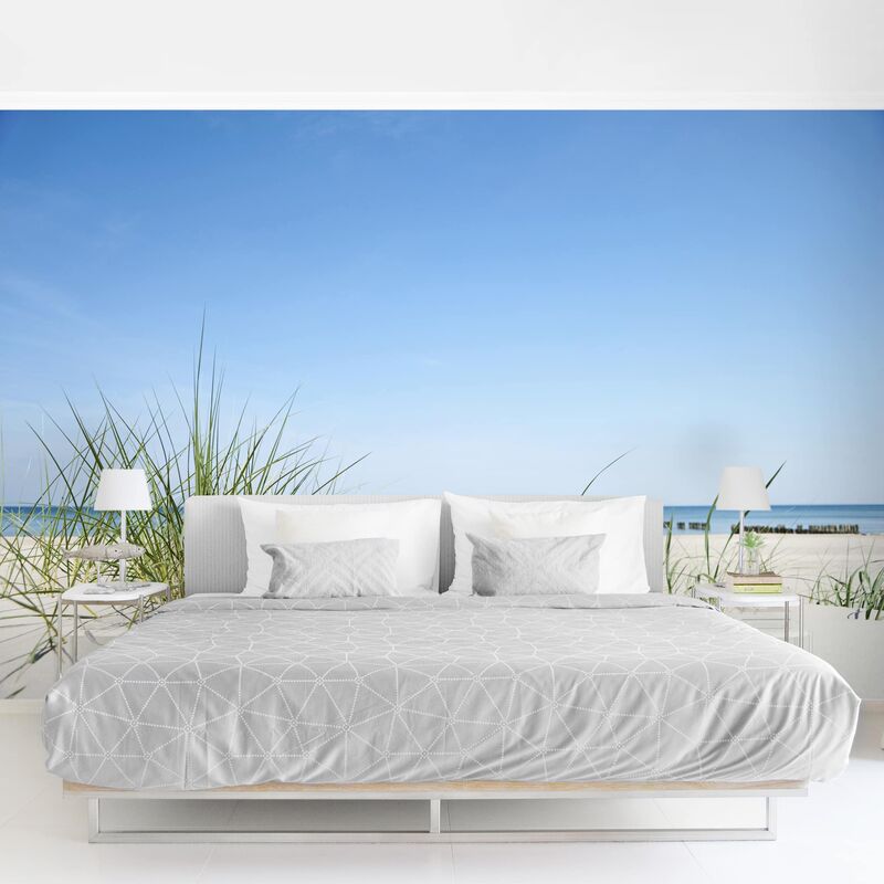 Papel pintado adhesivo - Baltic Sea Coast - Mural apaisado Dimensión LxA: 290cm x 432cm
Papel pintado adhesivo - Baltic Sea Coast - Mural apaisado Dimensión LxA: 290cm x 432cm