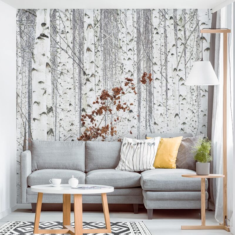 Papel pintado adhesivo - Birch Trees In Autumn - Mural cuadrado Dimensión LxA: 240cm x 240cm
Papel pintado adhesivo - Birch Trees In Autumn - Mural cuadrado Dimensión LxA: 240cm x 240cm