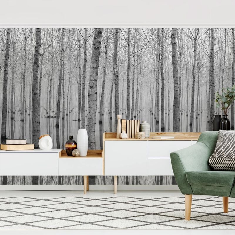 Papel pintado adhesivo - Birches In November - Mural apaisado Dimensión LxA: 255cm x 384cm
Papel pintado adhesivo - Birches In November - Mural apaisado Dimensión LxA: 255cm x 384cm