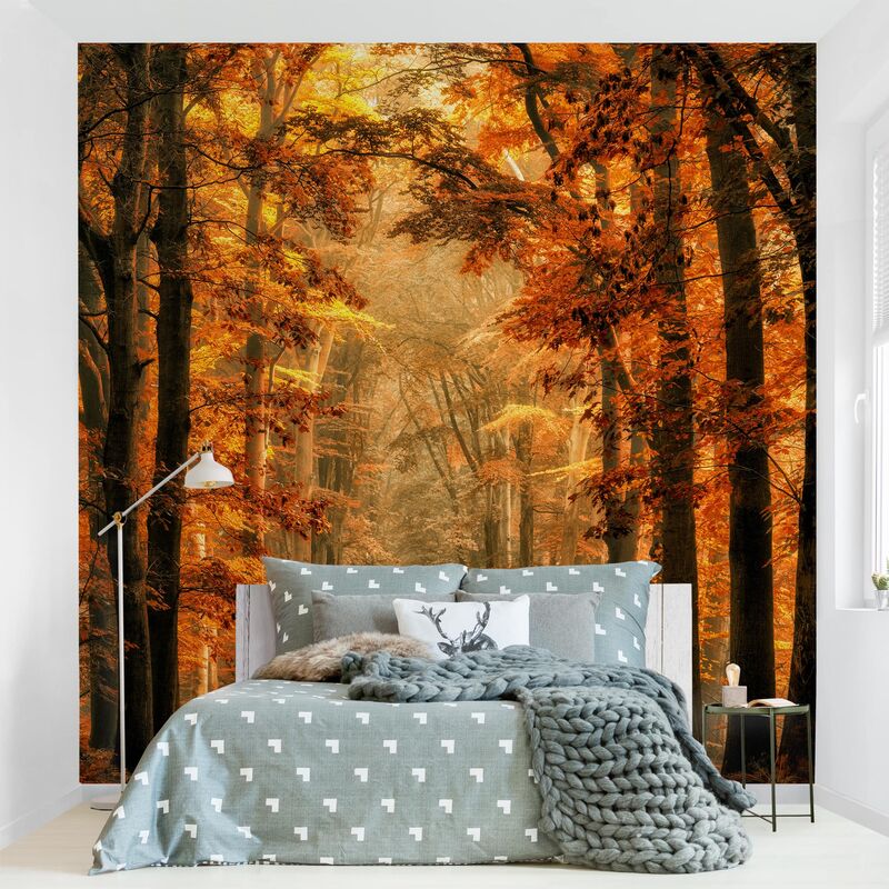 Papel pintado adhesivo - Enchanted Forest In Autumn - Mural cuadrado Dimensión LxA: 288cm x 288cm
Papel pintado adhesivo - Enchanted Forest In Autumn - Mural cuadrado Dimensión LxA: 288cm x 288cm
