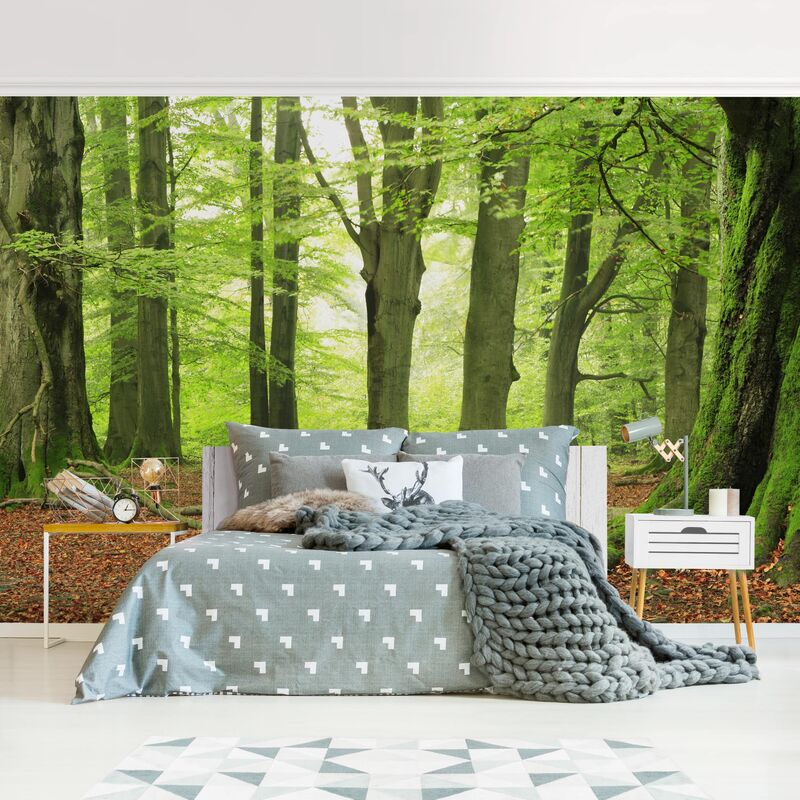 Papel pintado adhesivo - Mighty Beech Trees - Mural apaisado Dimensión LxA: 320cm x 480cm
Papel pintado adhesivo - Mighty Beech Trees - Mural apaisado Dimensión LxA: 320cm x 480cm