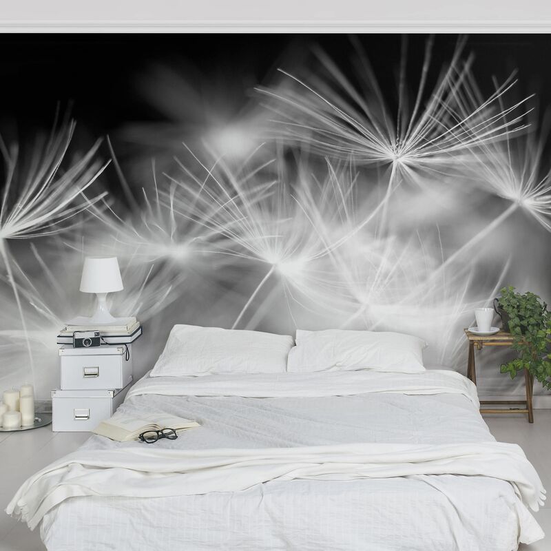 Papel pintado adhesivo - Moving Dandelions Close Up On Black Background - Mural apaisado Dimensión LxA: 290cm x 432cm
Papel pintado adhesivo - Moving Dandelions Close Up On Black Background - Mural apaisado Dimensión LxA: 290cm x 432cm