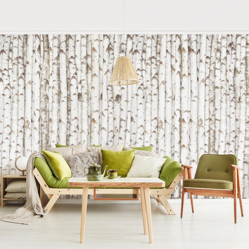 Papel pintado adhesivo - No.Yk15 Birch Wall - Mural apaisado Dimensión LxA: 290cm x 432cm
Papel pintado adhesivo - No.Yk15 Birch Wall - Mural apaisado Dimensión LxA: 290cm x 432cm