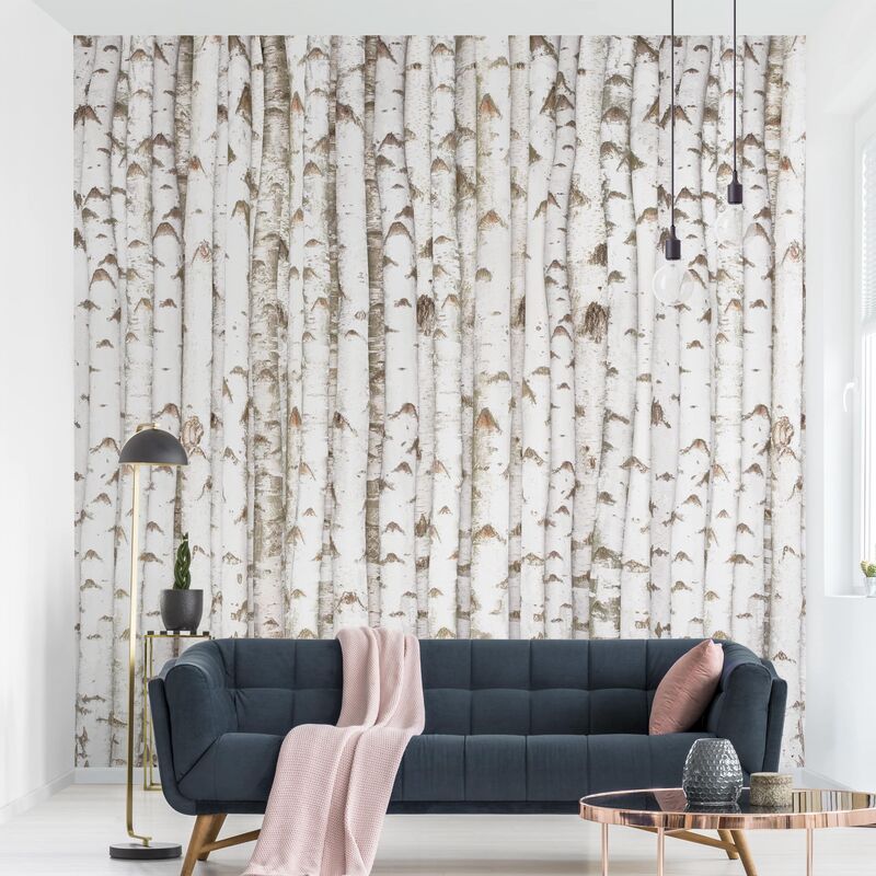 Papel pintado adhesivo - No.YK15 Birch Wall - Mural cuadrado Dimensión LxA: 240cm x 240cm
Papel pintado adhesivo - No.YK15 Birch Wall - Mural cuadrado Dimensión LxA: 240cm x 240cm