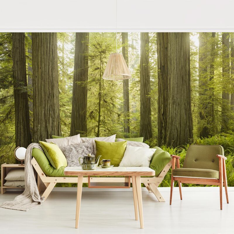 Papel pintado adhesivo - Redwood State Park Forest View - Mural apaisado Dimensión LxA: 290cm x 432cm
Papel pintado adhesivo - Redwood State Park Forest View - Mural apaisado Dimensión LxA: 290cm x 432cm