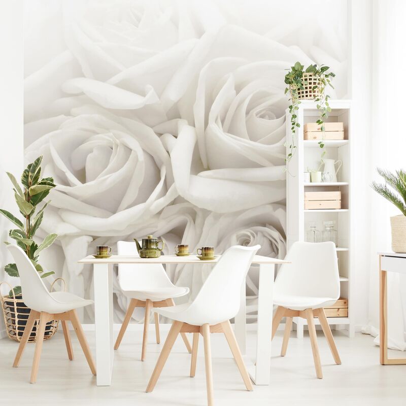 Papel pintado adhesivo - White Roses - Mural cuadrado Dimensión LxA: 336cm x 336cm
Papel pintado adhesivo - White Roses - Mural cuadrado Dimensión LxA: 336cm x 336cm