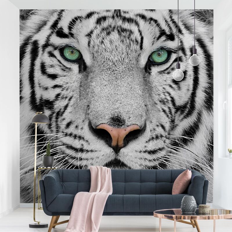 Papel pintado adhesivo - White Tiger - Mural cuadrado Dimensión LxA: 240cm x 240cm
Papel pintado adhesivo - White Tiger - Mural cuadrado Dimensión LxA: 240cm x 240cm