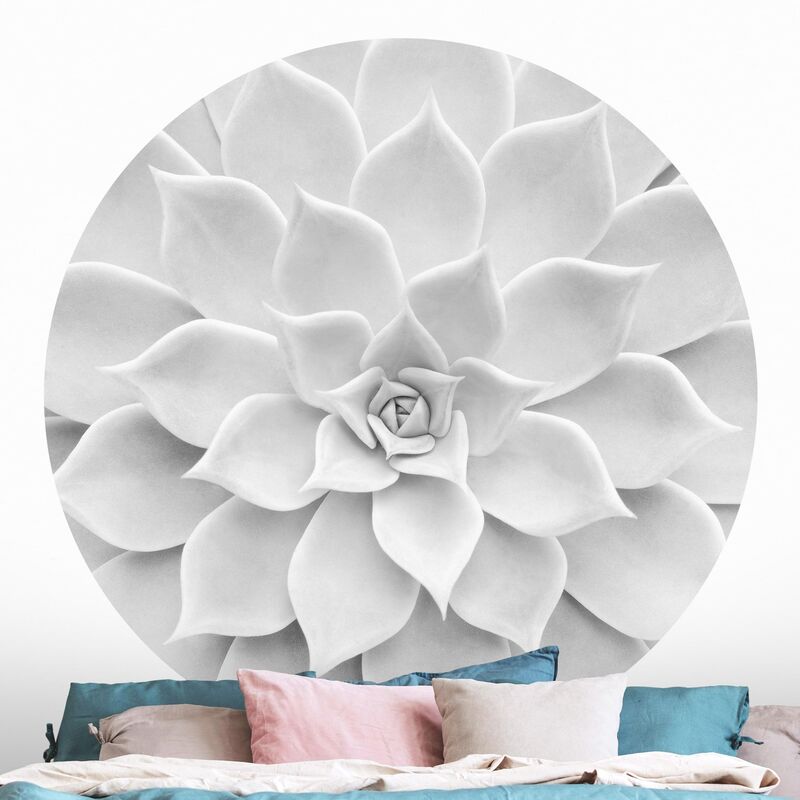 Papel pintado redondo autoadhesivo - King Of The North Dimensión LxA: 175cm x 175cm
Papel pintado redondo autoadhesivo - King Of The North Dimensión LxA: 175cm x 175cm