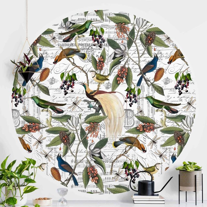 Papel pintado redondo autoadhesivo - Nostalgic Berry Blues With Birds of Paradise Dimensión LxA: 244cm x 244cm
Papel pintado redondo autoadhesivo - Nostalgic Berry Blues With Birds of Paradise Dimensión LxA: 244cm x 244cm