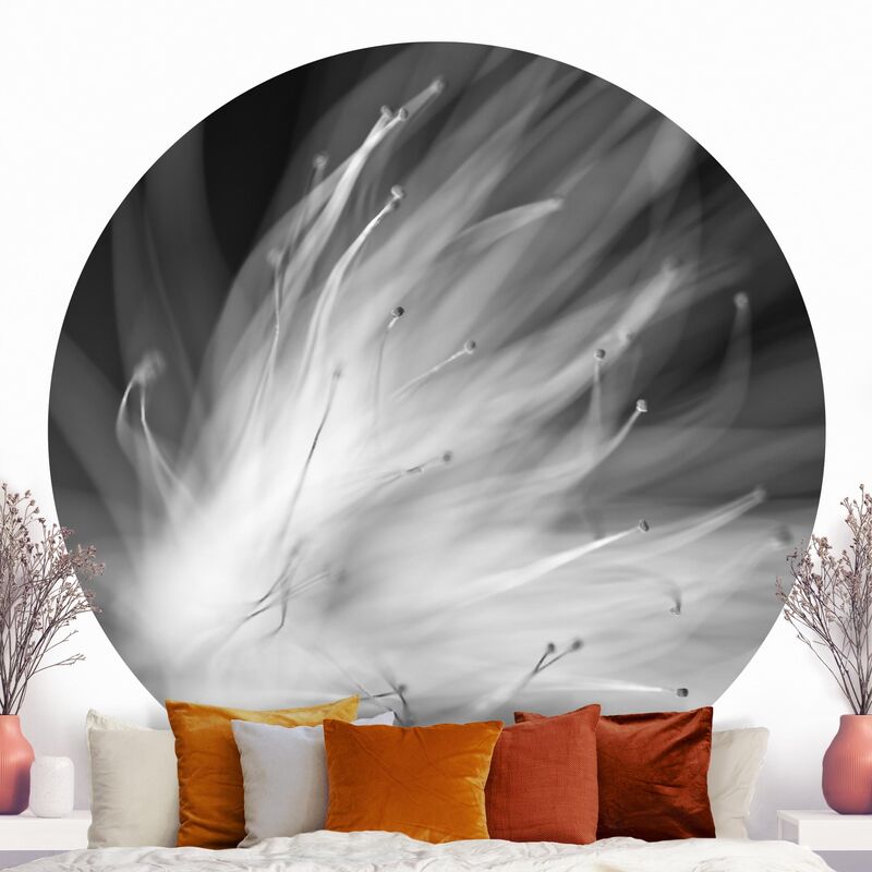 Papel pintado redondo autoadhesivo - Pollen Black And White Dimensión LxA: 75cm x 75cm
Papel pintado redondo autoadhesivo - Pollen Black And White Dimensión LxA: 75cm x 75cm