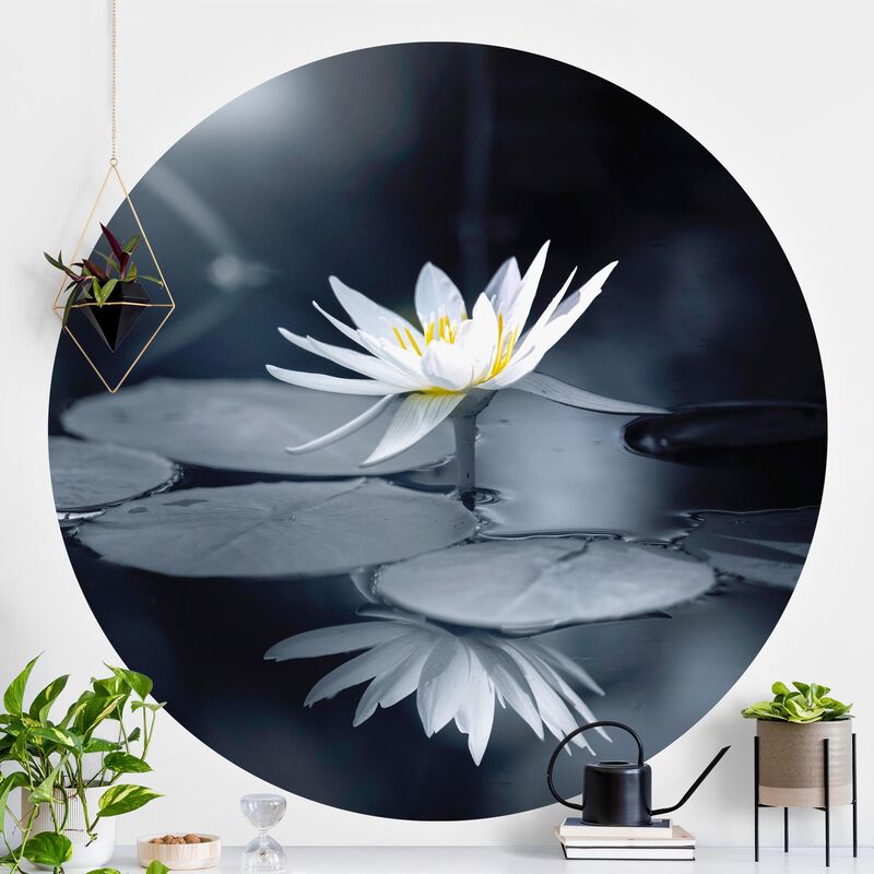 Papel pintado redondo autoadhesivo - Lotus Reflection In The Water Dimensión LxA: 175cm x 175cm
Papel pintado redondo autoadhesivo - Lotus Reflection In The Water Dimensión LxA: 175cm x 175cm